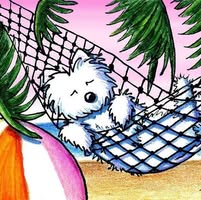 Tammy Van Horn's profile image