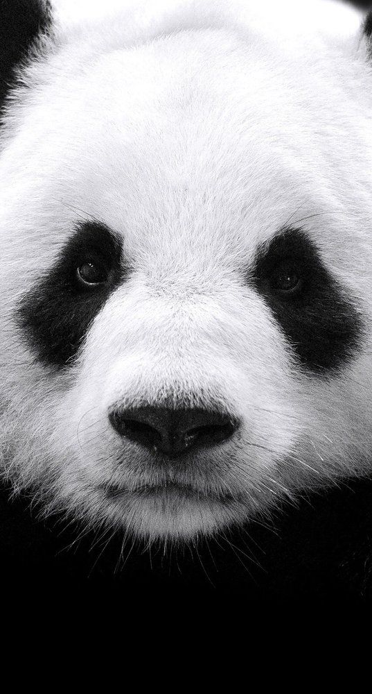 M D.'s profile image