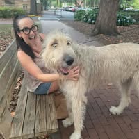 Rachel Anne's profile image