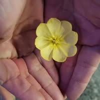 Bethany Clelland's profile image