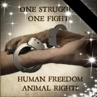 Debra Butler Key's profile image