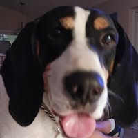 Polly Roberts's profile image