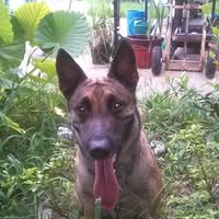 Mary Haubert's profile image