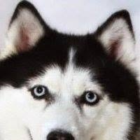 Kathy Blackman's profile image
