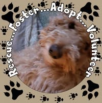 Lorraine Mechanick's profile image