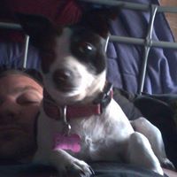 robl911's profile image