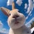 Lori Maxwell's profile image