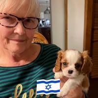 Elizabeth Spence Vezina's profile image
