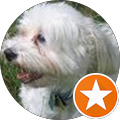 ed johnson's Profile Image