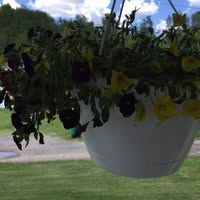 Janet Friend's profile image