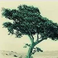 Nora Ellen Vickroy's profile image