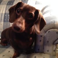 Kathy Richardson's profile image