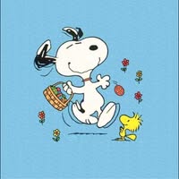 Carole Allen's profile image