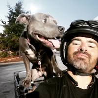 Andrew Hess's profile image