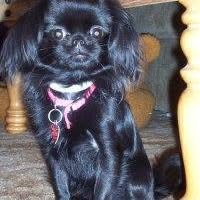 Michell Monroe's profile image
