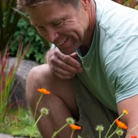 Nick Erickson's profile image