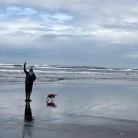 Dian Christensen's profile image