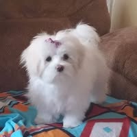 Barbara Bressler's profile image