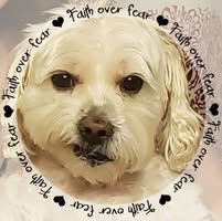 Laurie Fortner's profile image