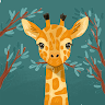 belkis f.'s profile image