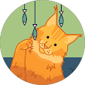 Uchkul Kurmanova's Profile Image