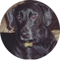 Thomas Ramsey's Profile Image