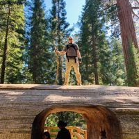 Brandon A.'s profile image