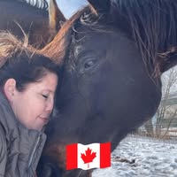 Shannon Allen's profile image