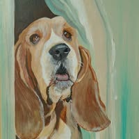 Noni Harling's profile image