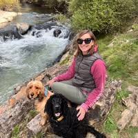Domi Cadi-Sheers's profile image