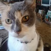 Margaret Lendall's profile image