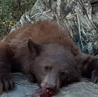 Rod Schumock's profile image