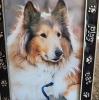 Ann Bennett's profile image