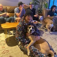 Max Madorsky's profile image