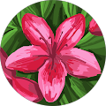Yolanda Young's Profile Image
