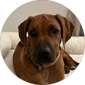 Mary Ochocki's Profile Image