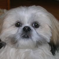 John Kabat's profile image