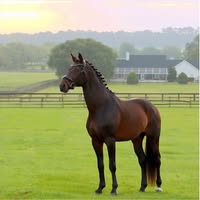 Ann Cottongim's profile image