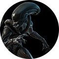Juan Huerta's Profile Image