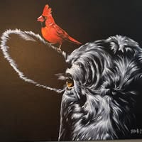 Rachael King's profile image