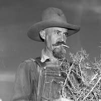 Dale Wiley's profile image