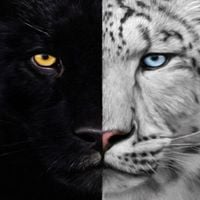 Kevv P.'s profile image