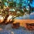 Cindy Goodman Jones's profile image