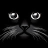 Lisa M.'s profile image