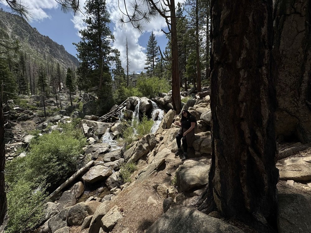 Jessica M.'s profile image