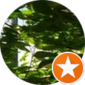 Lorenzo Lanza's Profile Image