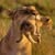 Bonnie Rodriguez's profile image