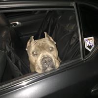 K P.'s profile image