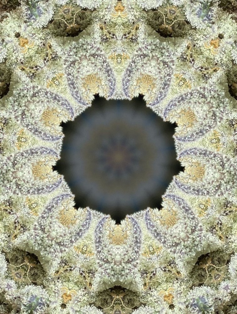 TheLorax 4.'s profile image