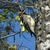 David R. Stabley's profile image